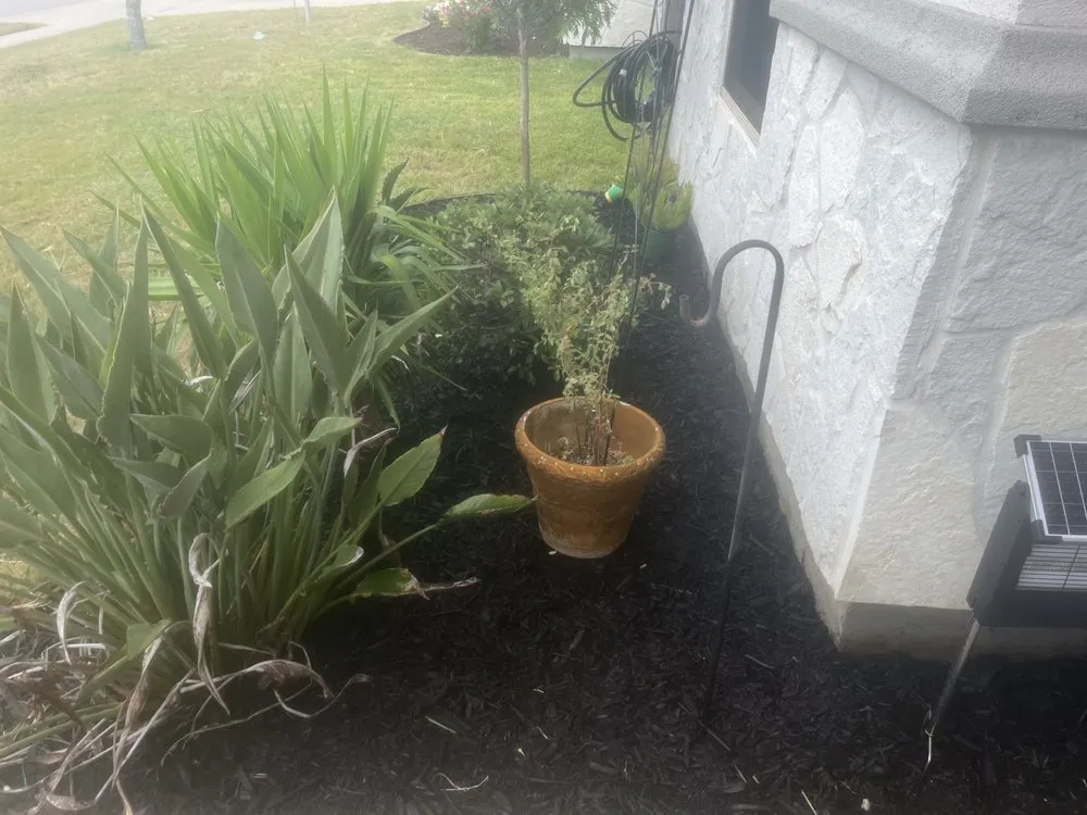 Reliable residential landscaping in Corpus Christi, TX by Seabreeze Landscaping Services