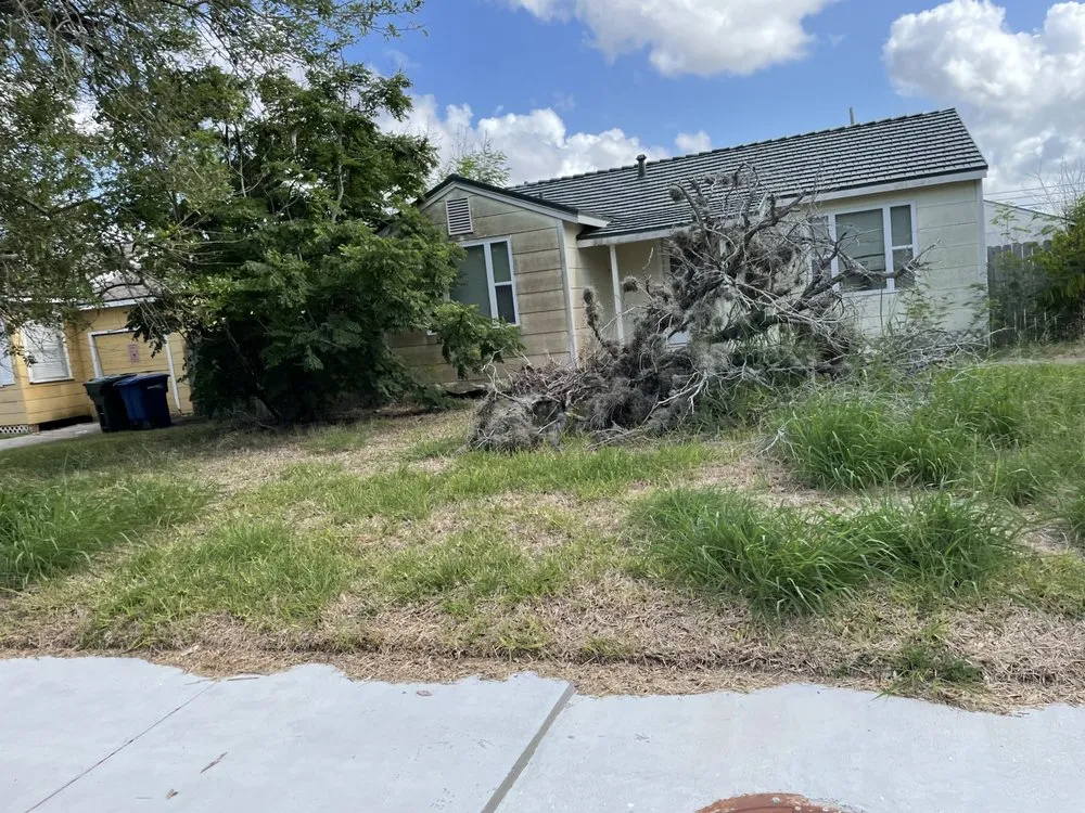 Top-rated landscaping services in Corpus Christi, TX - Seabreeze Landscaping Services