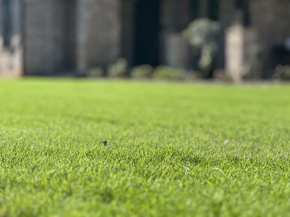 Expert landscape design for homes across Navarre, FL - Seabreeze Property Service