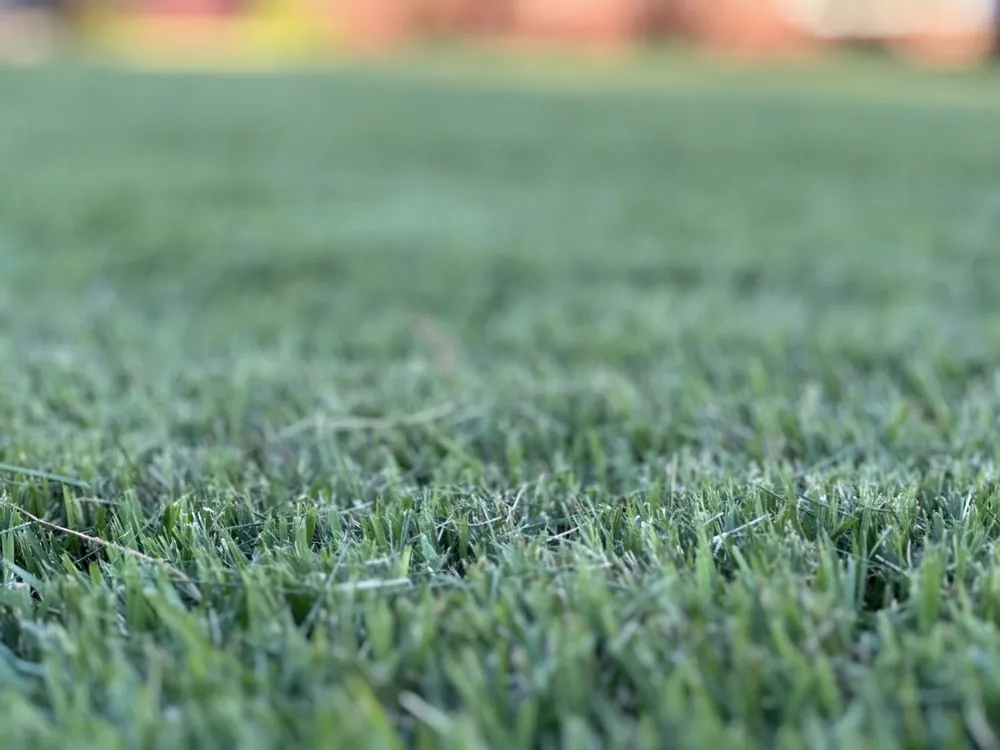 Top-rated landscape installation experts serving Navarre, FL - Seabreeze Property Service