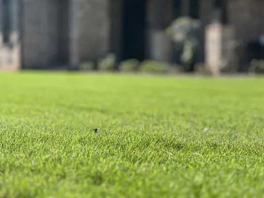 Seabreeze Property Service Logo