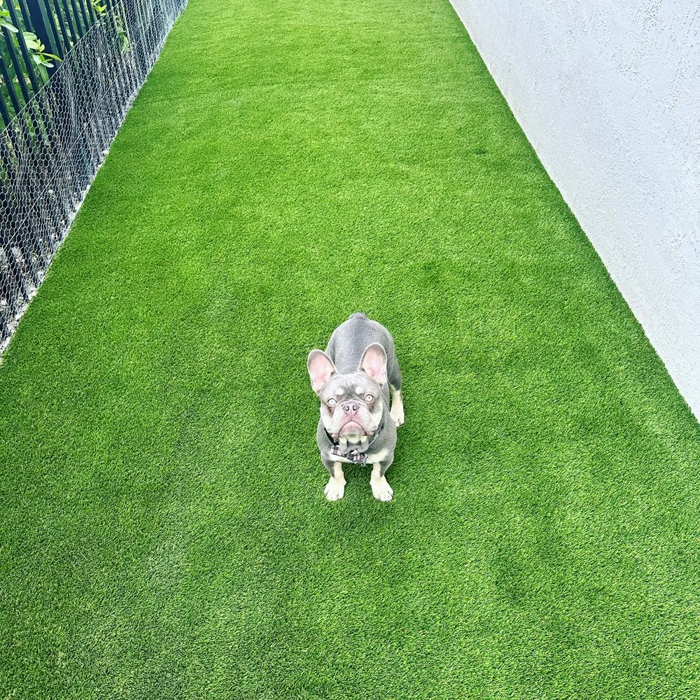 Local outdoor landscaping for outdoor upgrades across Lake Worth, FL - Seacoast Artificial Turf & Landscape