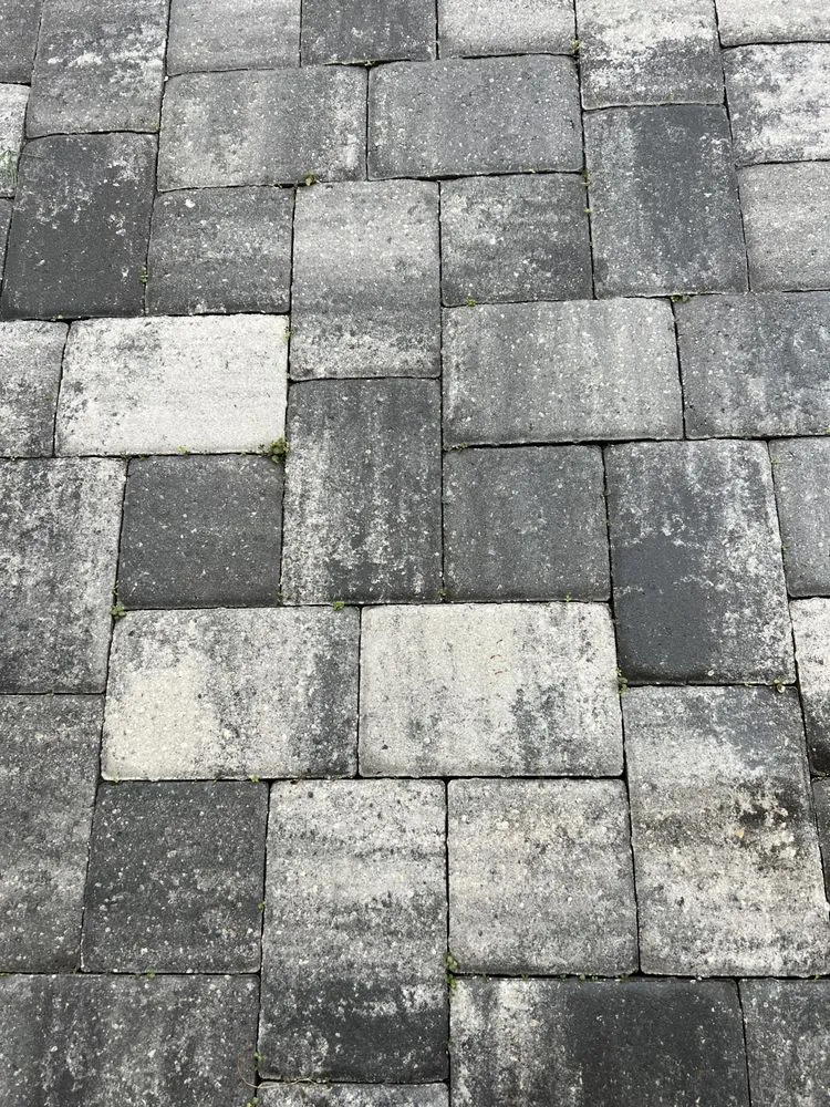 Reliable lawn mowing service in Lake Worth, FL by Seacoast Artificial Turf & Landscape