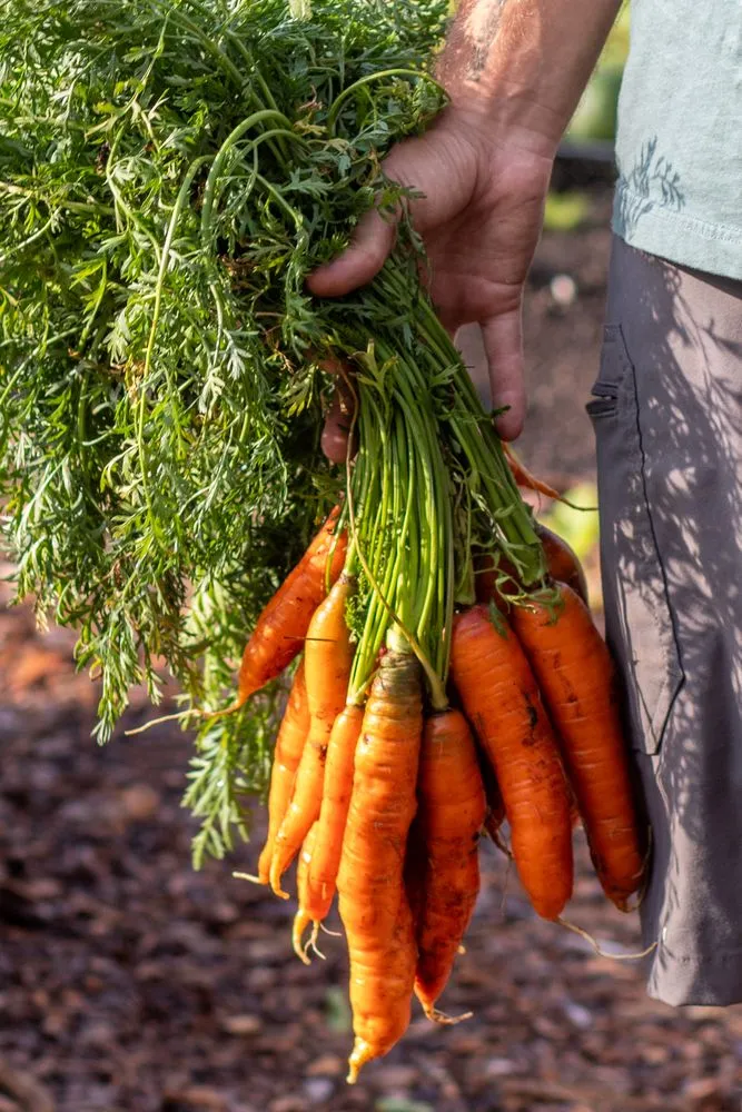 Trusted landscape design in Newmarket, NH - Seacoast Foodscapes