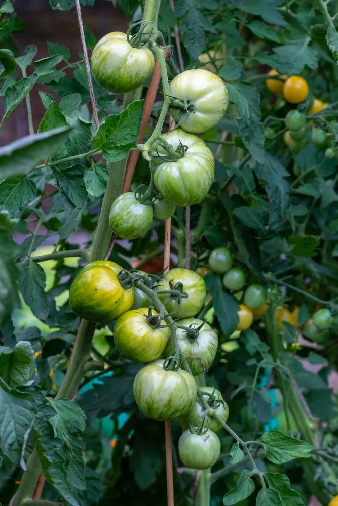 Trusted landscape installation for beautiful yards in Newmarket, NH by Seacoast Foodscapes