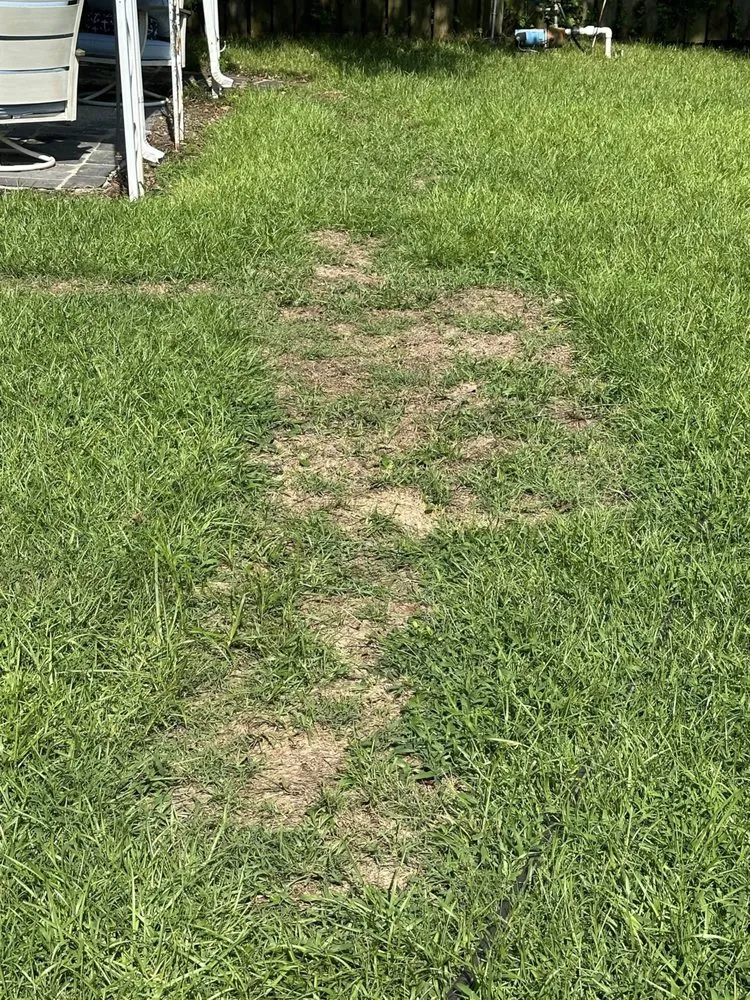 Custom landscape design in Johns Island, SC by Seacoast Landscape
