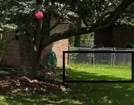 Trusted yard maintenance in Johns Island, SC by Seacoast Landscape