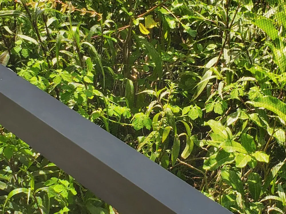 Local yard maintenance in Port St. Lucie, FL by Seacoast Lawn Tropical Service