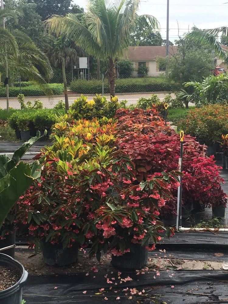 Top-rated residential landscaping in Port St. Lucie, FL by Seacoast Lawn Tropical Service
