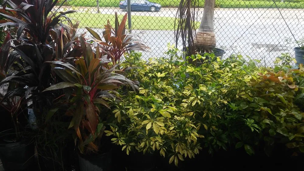 Affordable residential landscaping in Port St. Lucie, FL by Seacoast Lawn Tropical Service