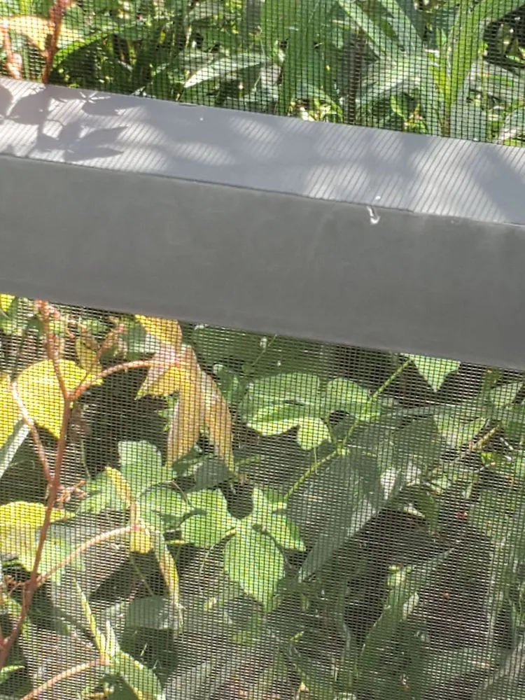 Reliable outdoor landscaping for outdoor upgrades across Port St. Lucie, FL - Seacoast Lawn Tropical Service