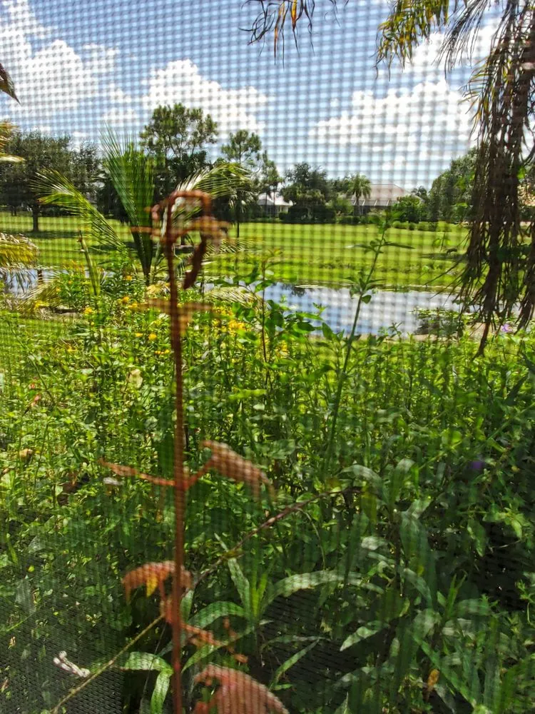 Affordable outdoor landscaping with custom design in Port St. Lucie, FL by Seacoast Lawn Tropical Service