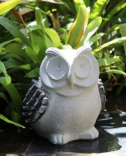 Top-rated landscaping services near you in Port St. Lucie, FL by Seacoast Lawn Tropical Service