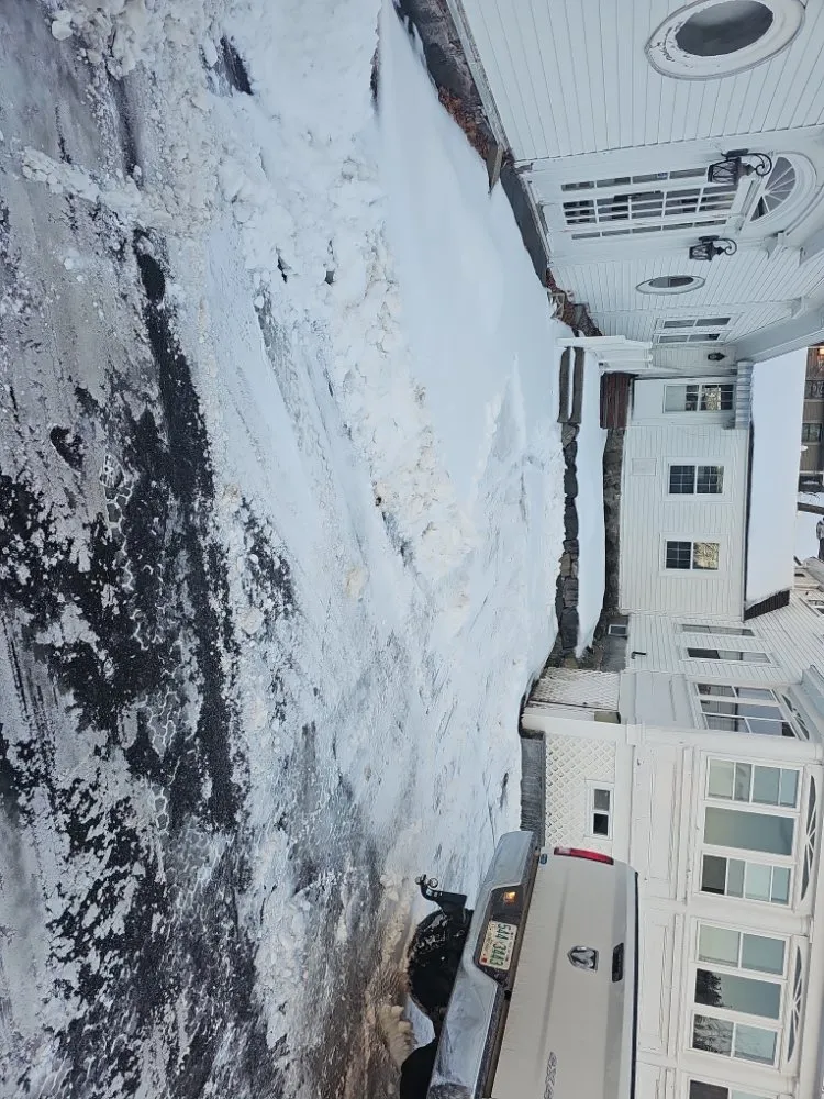 Expert yard cleanup service in Seabrook, NH by Seacoast Priority Services