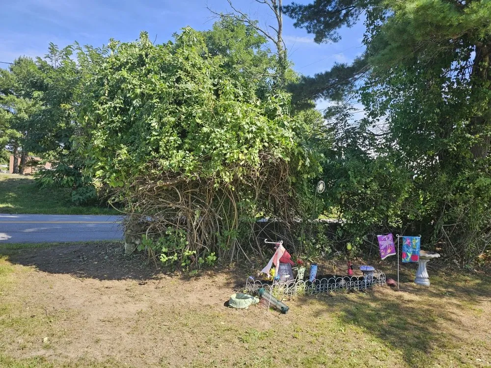 Top-rated lawn care service in Seabrook, NH - Seacoast Priority Services