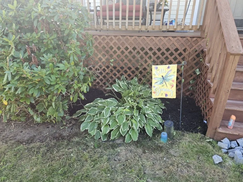 Expert outdoor landscaping for beautiful yards in Seabrook, NH by Seacoast Priority Services