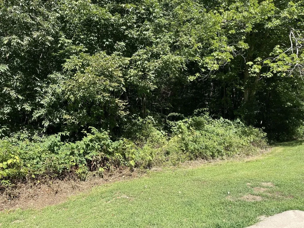 Reliable lawn care service with custom design in Eliot, ME by Seacoast Property Improvements