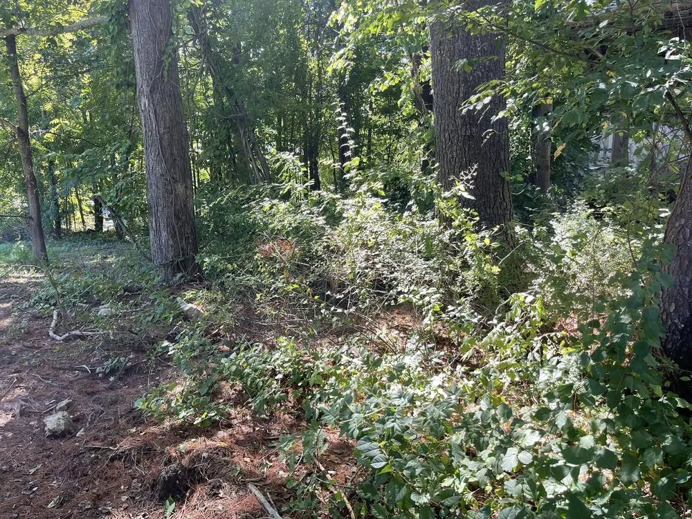 Top-rated yard cleanup service experts serving Eliot, ME - Seacoast Property Improvements