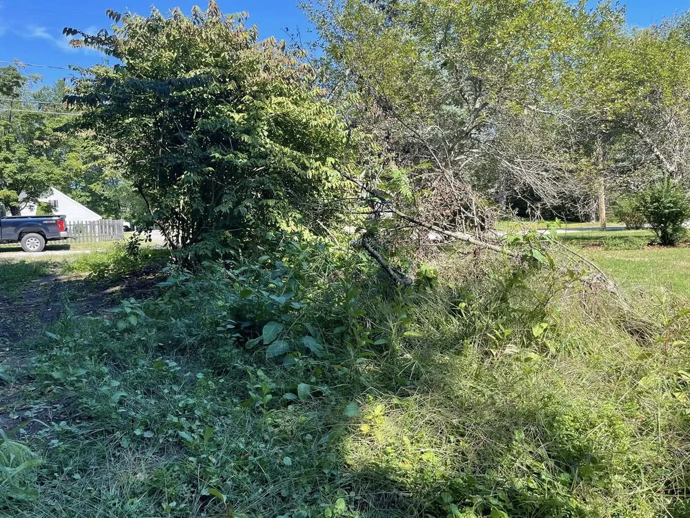Reliable yard cleanup service experts serving Eliot, ME - Seacoast Property Improvements