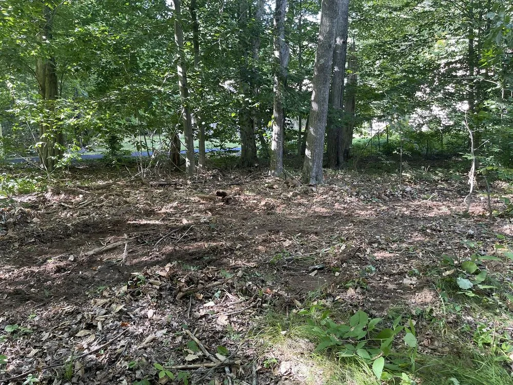 Top-rated yard maintenance in Eliot, ME by Seacoast Property Improvements