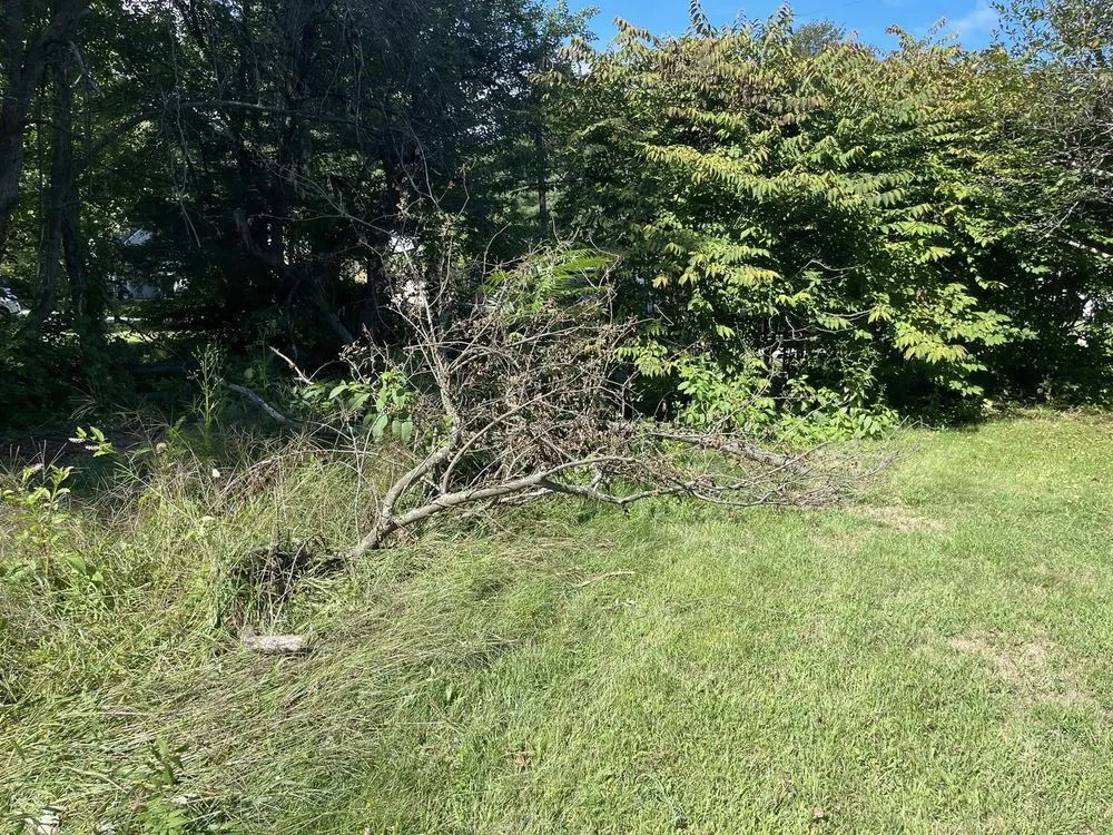 Custom yard cleanup service experts serving Eliot, ME - Seacoast Property Improvements