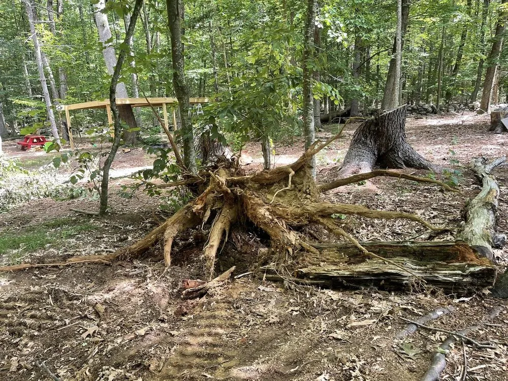 Professional yard cleanup service in Eliot, ME - Seacoast Property Improvements