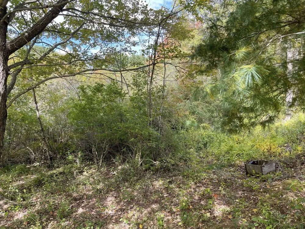 Reliable yard maintenance in Eliot, ME by Seacoast Property Improvements