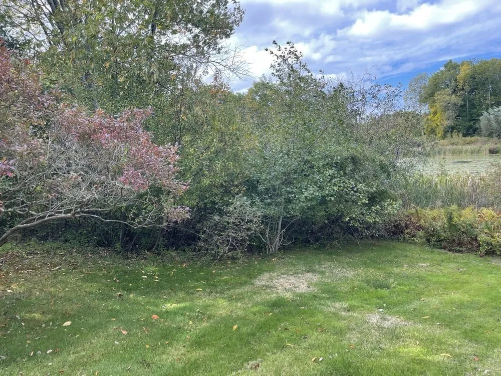 Professional outdoor landscaping in Eliot, ME by Seacoast Property Improvements