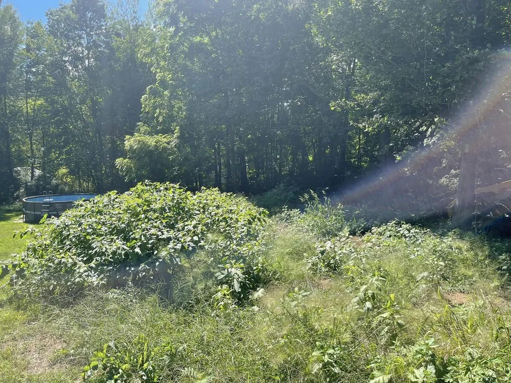 Local garden landscaping in Eliot, ME - Seacoast Property Improvements