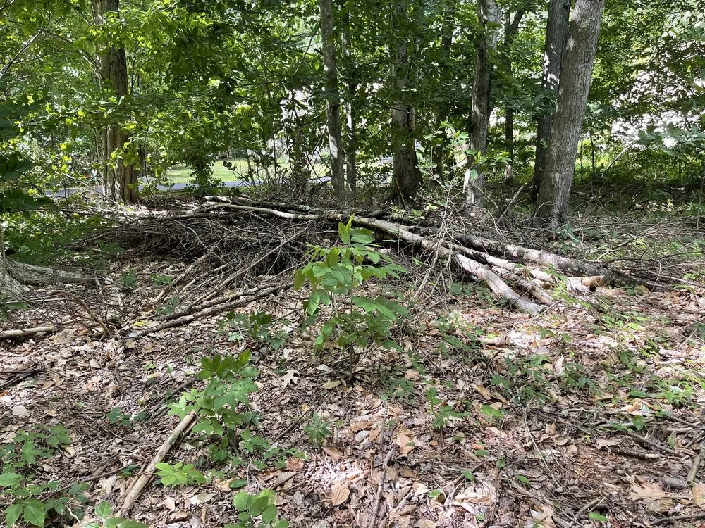 Trusted lawn mowing service experts serving Eliot, ME - Seacoast Property Improvements