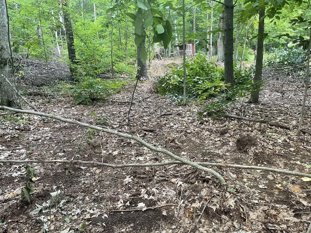 Professional landscaping services with custom design in Eliot, ME by Seacoast Property Improvements