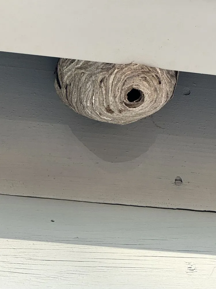 Top-rated yard maintenance experts serving North Hampton, NH - Seacoast Property Watch