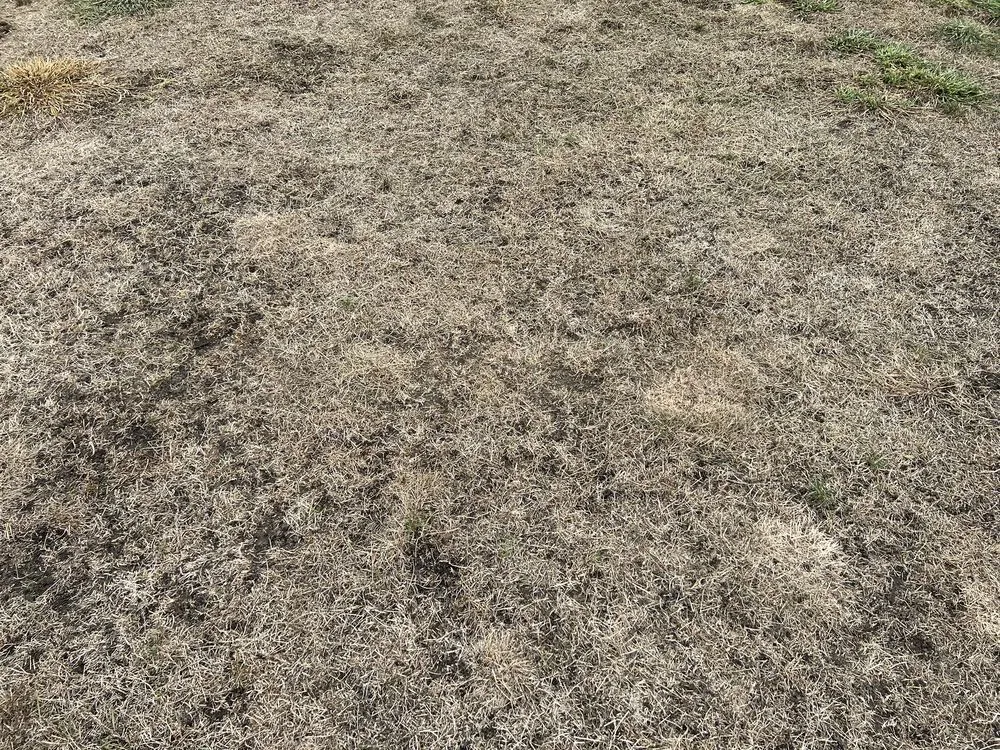 Trusted outdoor landscaping near you across North Hampton, NH - Seacoast Turf Care