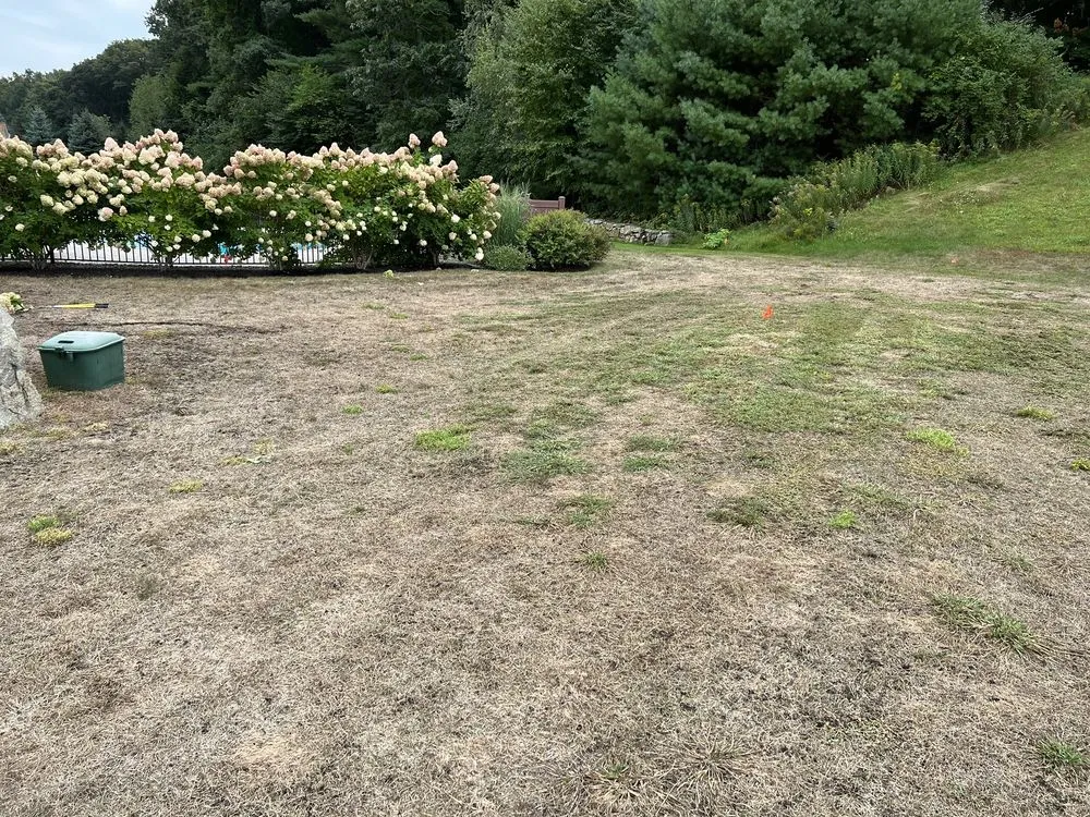 Custom landscaping services in North Hampton, NH - Seacoast Turf Care