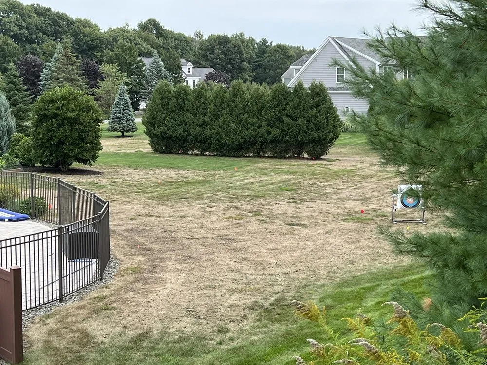 Top-rated yard cleanup service in North Hampton, NH - Seacoast Turf Care