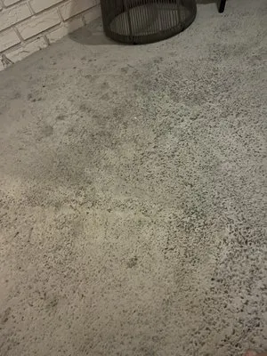 Seacrest Services Logo