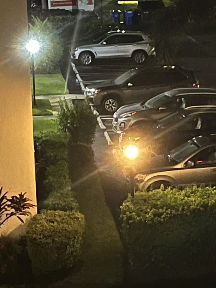 Local garden landscaping experts serving West Palm Beach, FL - Seacrest Services