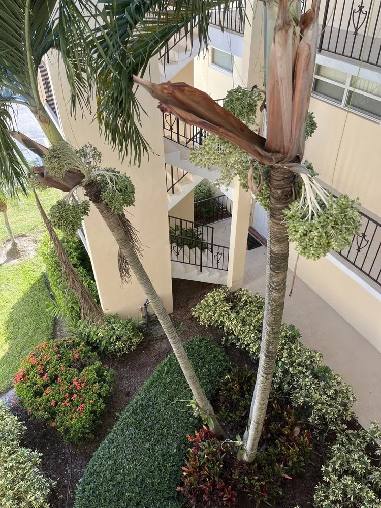 Affordable landscape design in West Palm Beach, FL by Seacrest Services