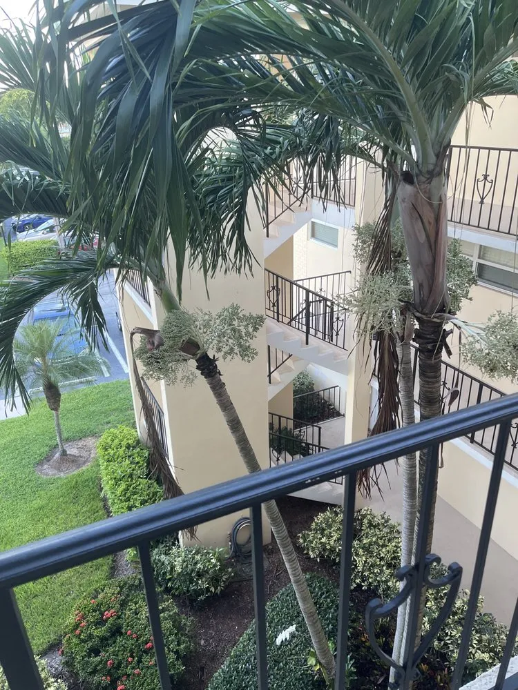 Affordable yard cleanup service near you across West Palm Beach, FL - Seacrest Services