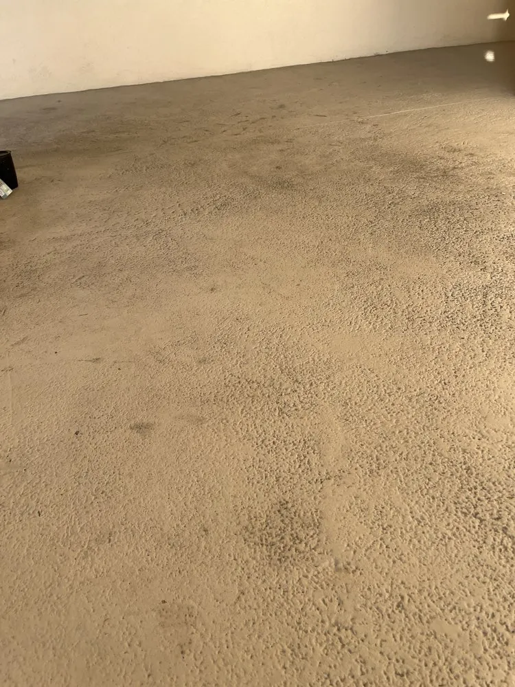 Top-rated landscaping services in West Palm Beach, FL - Seacrest Services