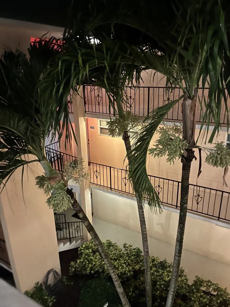 Local landscape installation for homes in West Palm Beach, FL by Seacrest Services