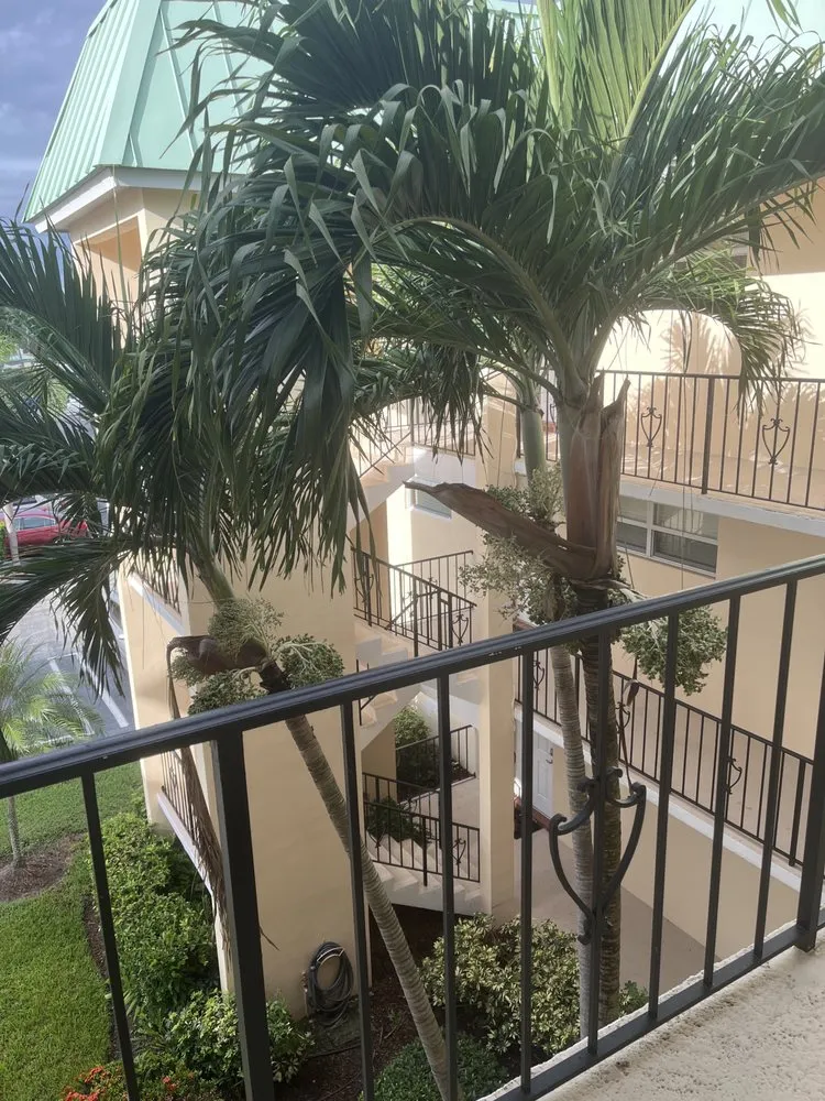 Trusted residential landscaping for outdoor upgrades across West Palm Beach, FL - Seacrest Services