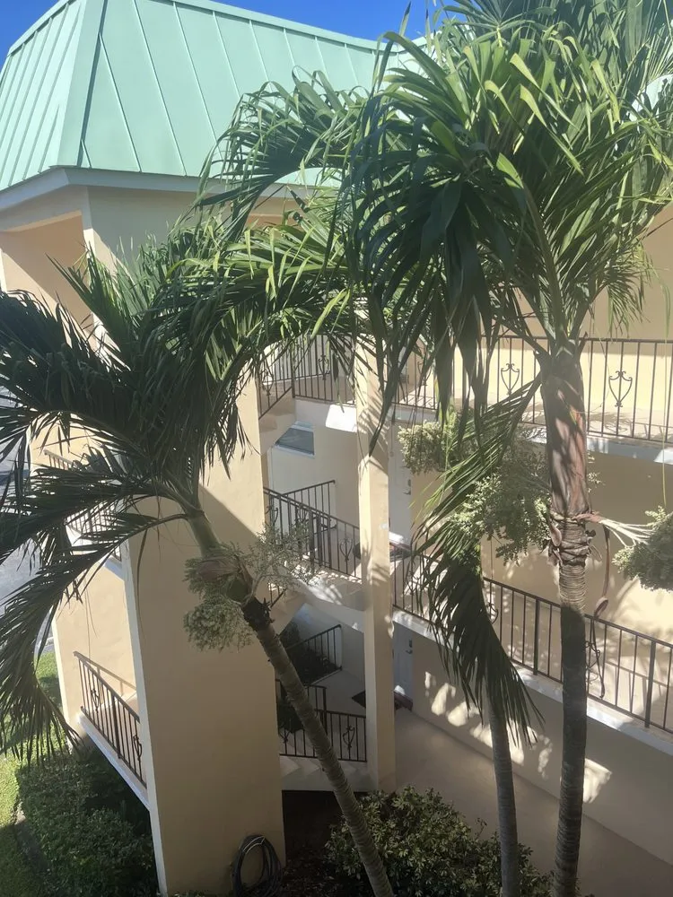 Trusted outdoor landscaping experts serving West Palm Beach, FL - Seacrest Services