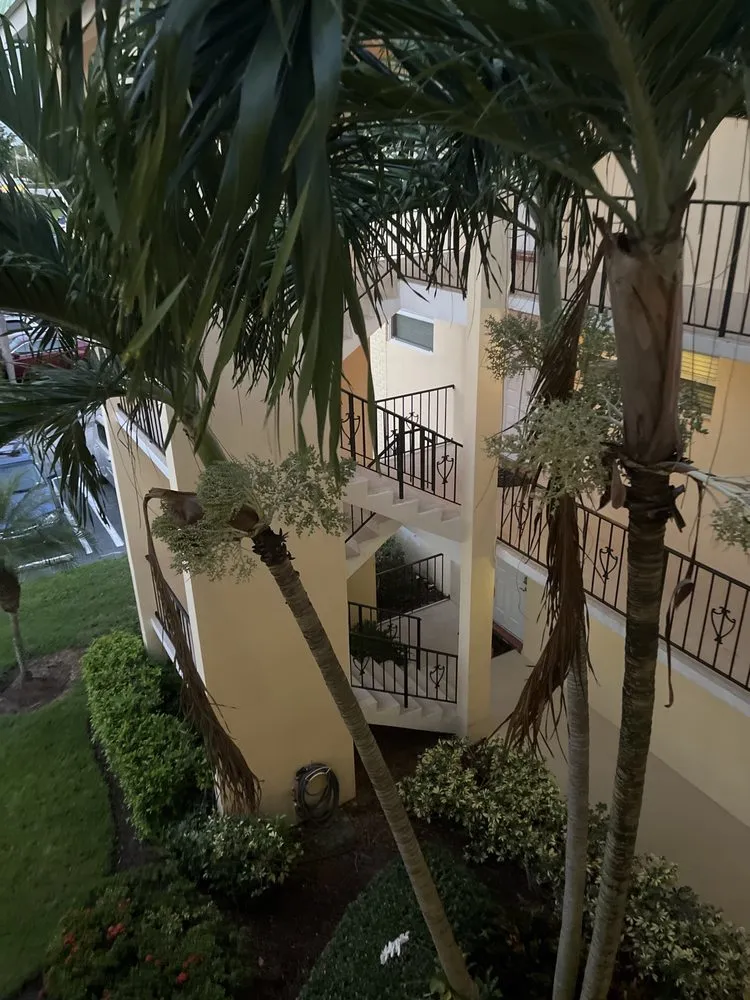 Reliable yard maintenance experts serving West Palm Beach, FL - Seacrest Services