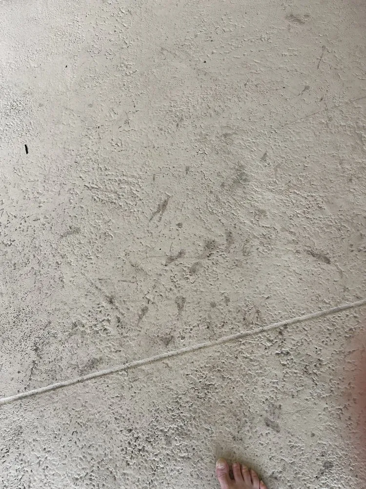 Affordable yard cleanup service for homes in West Palm Beach, FL by Seacrest Services