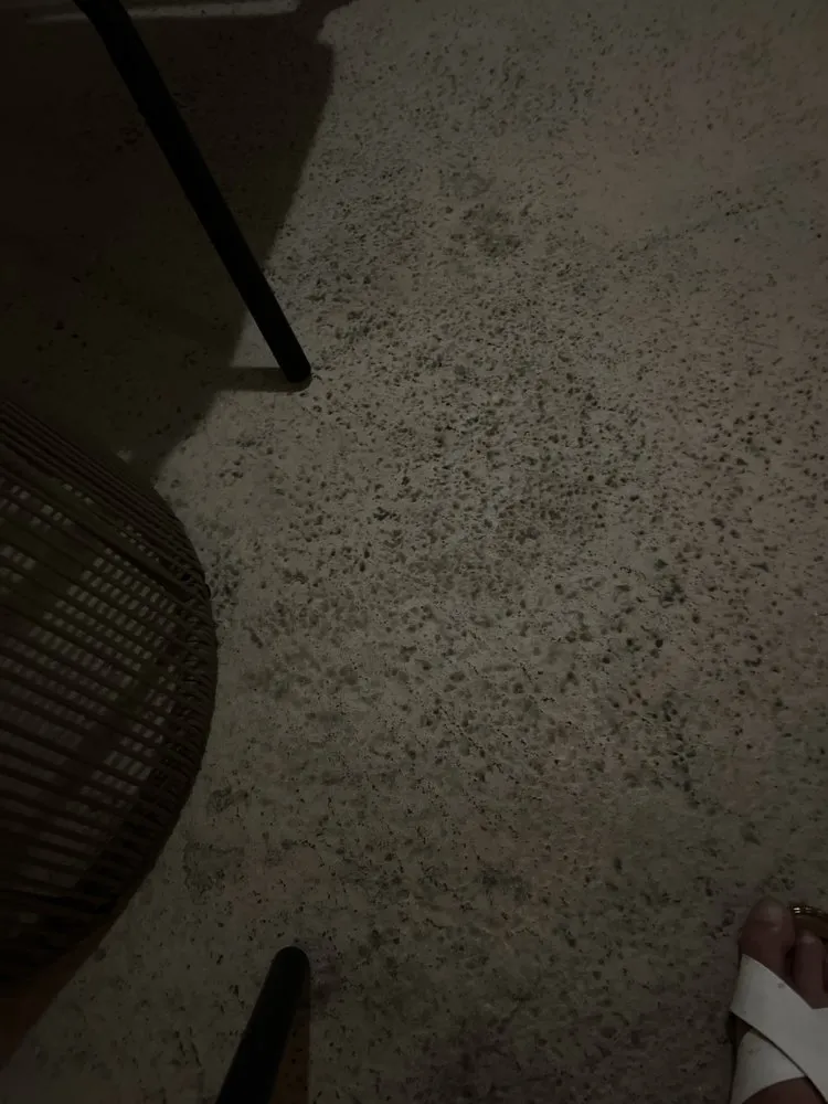 Affordable lawn care service experts serving West Palm Beach, FL - Seacrest Services