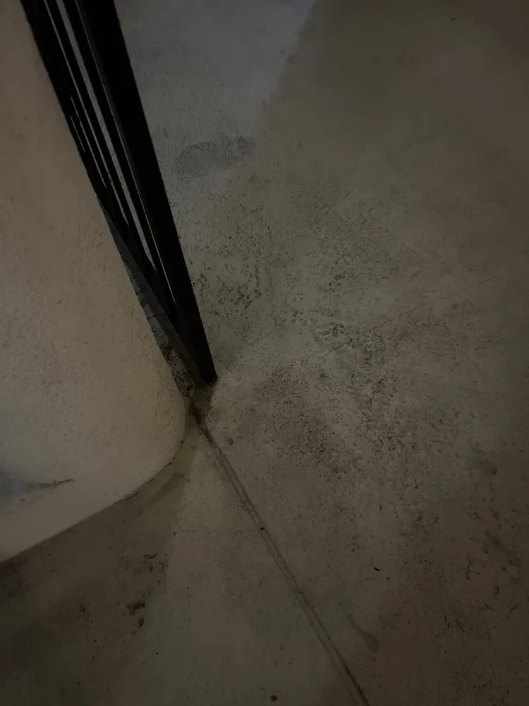 Affordable landscaping services experts serving West Palm Beach, FL - Seacrest Services