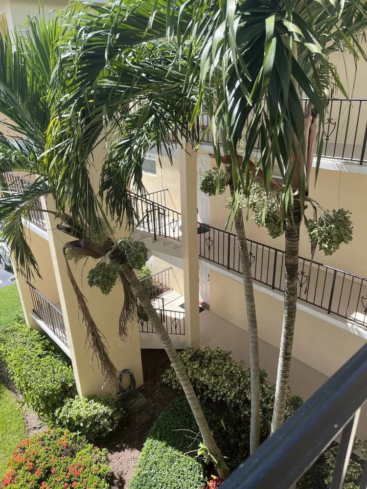 Affordable outdoor landscaping in West Palm Beach, FL - Seacrest Services