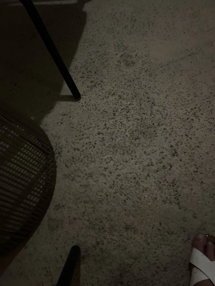 Trusted residential landscaping in West Palm Beach, FL by Seacrest Services