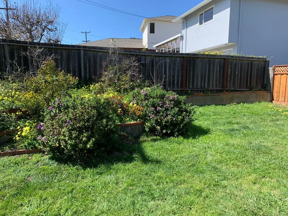 Top-rated outdoor landscaping experts serving Pacifica, CA - Seafield Landscaping